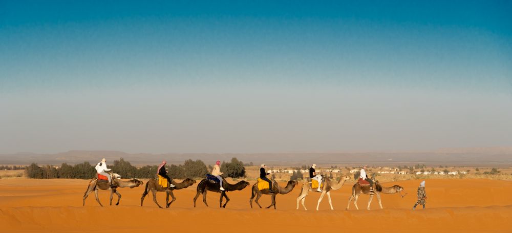 A camel caravan crossing open desert sand
