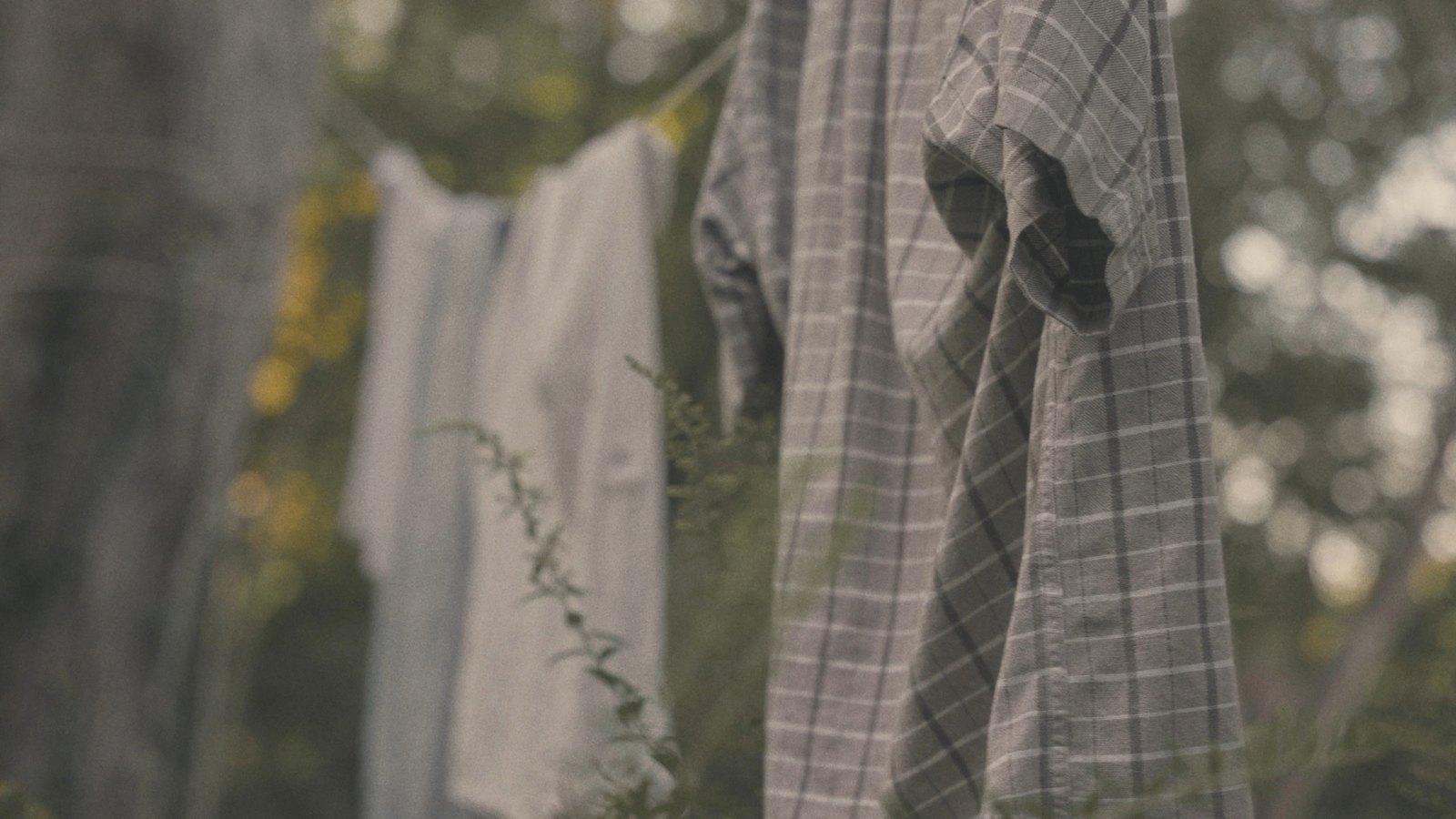 Clothing drying in the garden