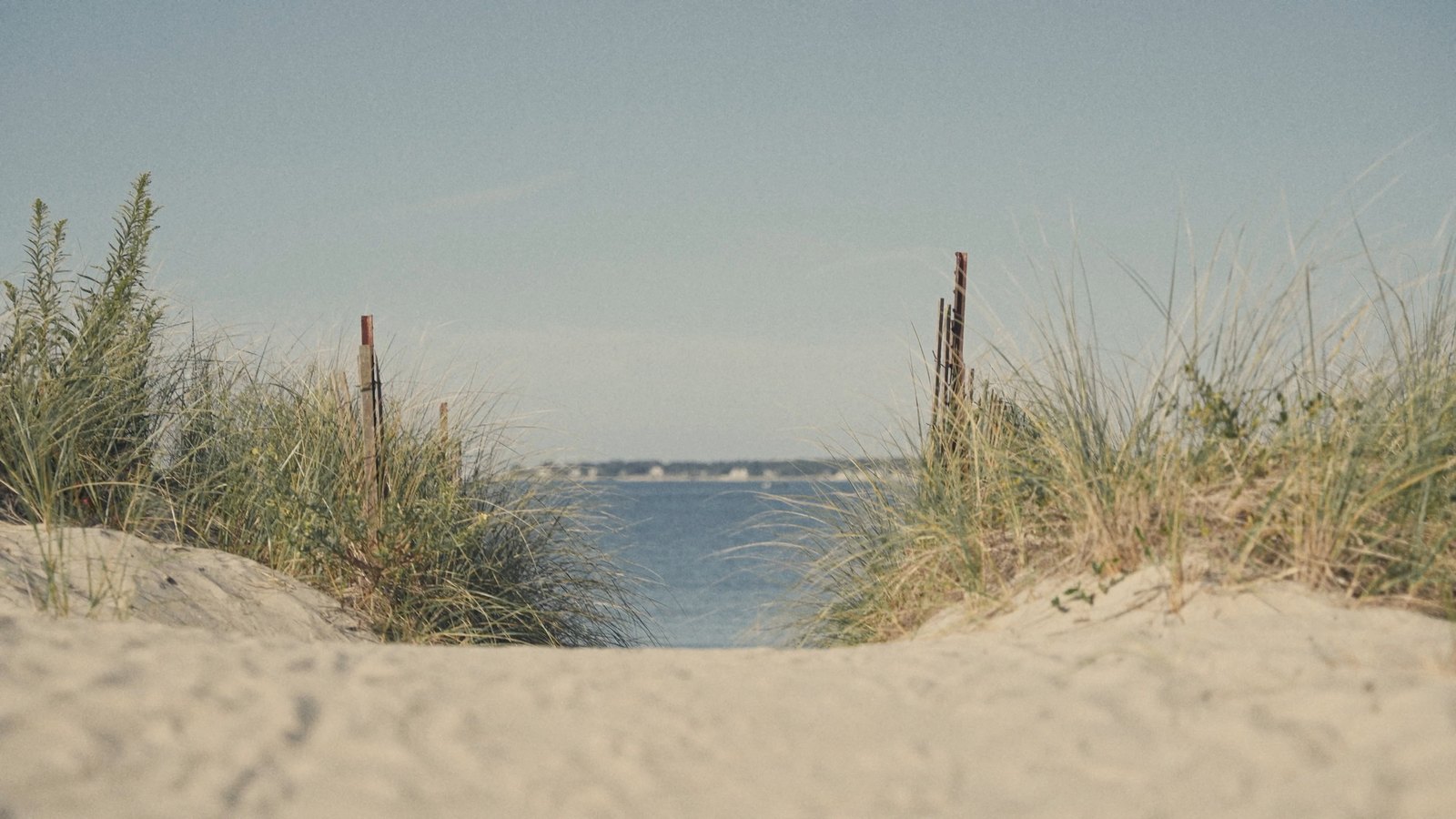 A sandy path opening onto the water